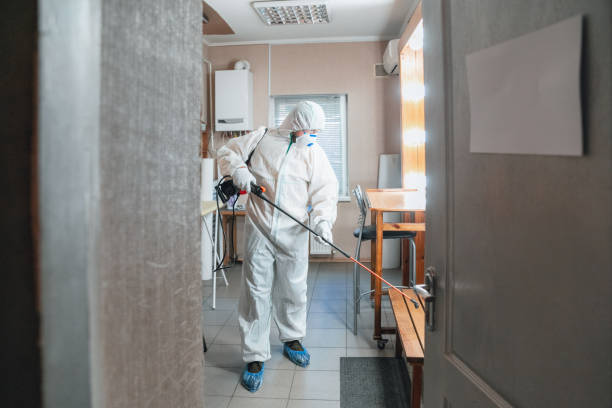 Best Environmental Consulting for Mold Prevention  in Krum, TX