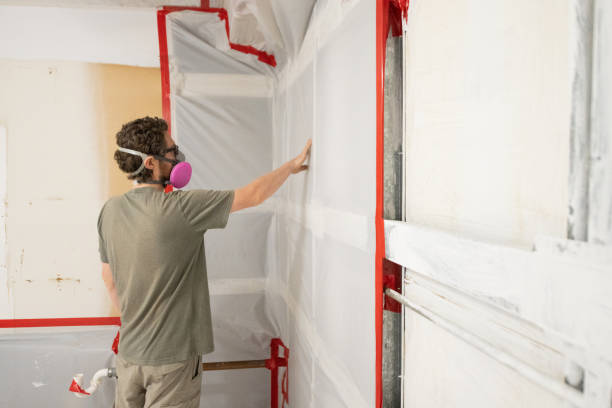 Best Mold Odor Removal Services  in Krum, TX