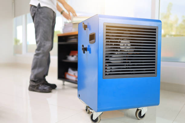 Mold Removal for HVAC Installations in Krum, TX