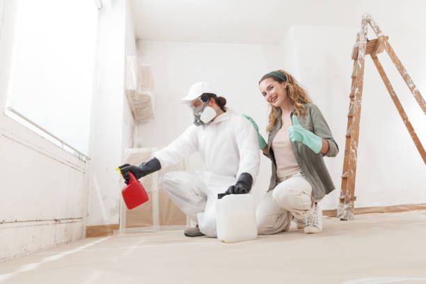 Best Black Mold Removal  in Krum, TX