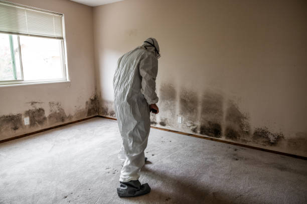 Best HVAC Mold Inspection and Cleaning  in Krum, TX